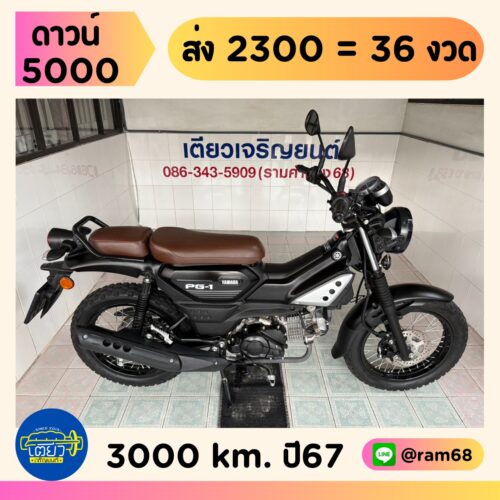 Yamaha PG-1