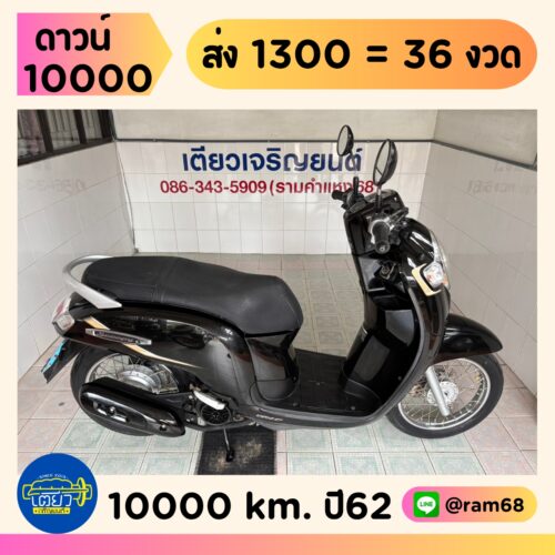 Honda Scoopy