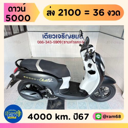 Honda Scoopy Club12