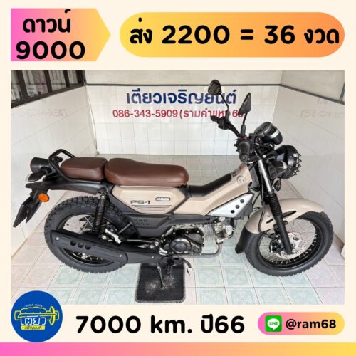 Yamaha PG-1