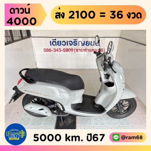 HONDA Scoopy Prestige